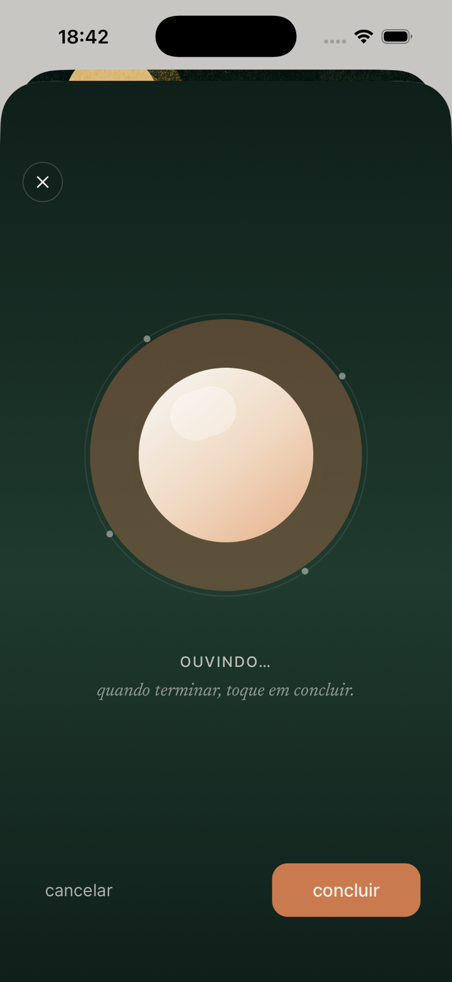 Tela de gravação por áudio
